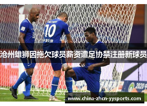 沧州雄狮因拖欠球员薪资遭足协禁注册新球员