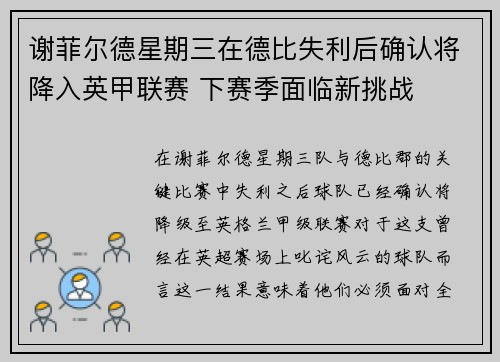谢菲尔德星期三在德比失利后确认将降入英甲联赛 下赛季面临新挑战